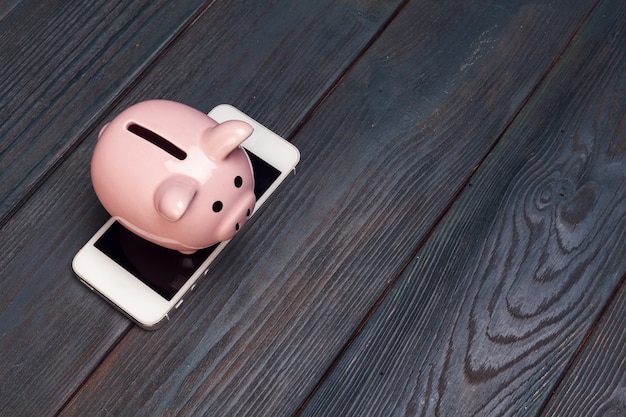 A visual representation of an emergency fund, such as a piggy bank or a savings account interface on a smartphone. The image should convey a sense of security and preparedness.